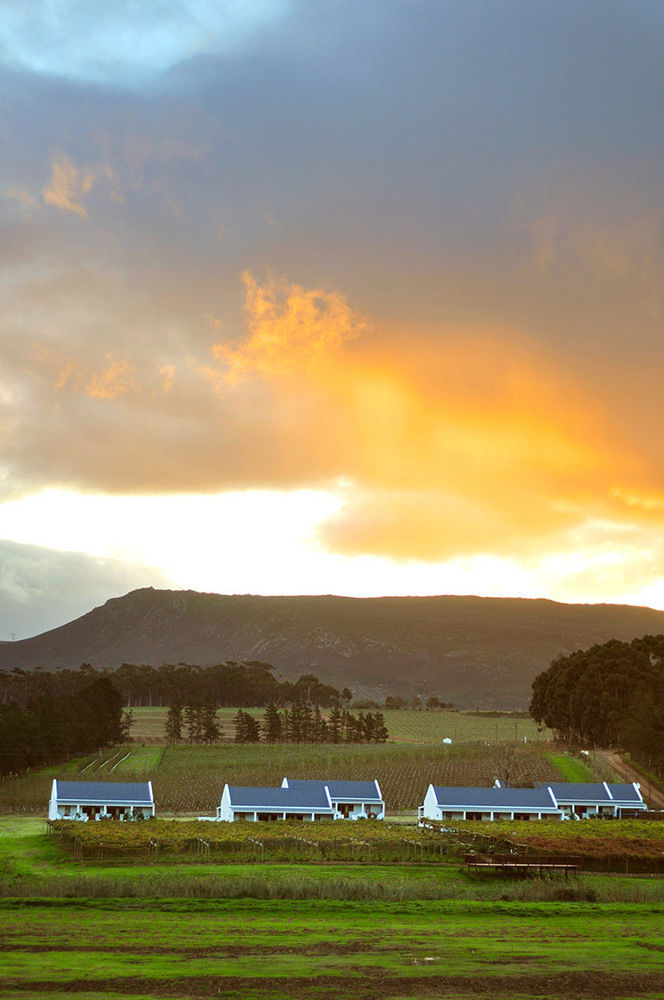 Endless Vineyards At Wildekrans Wine Estate Guest House Botrivier Exterior photo